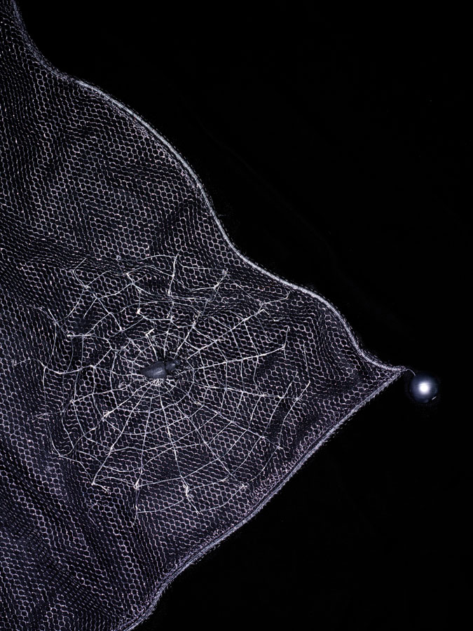 Geoffrey Beene metallic netting scarf embroidered with silver spider web